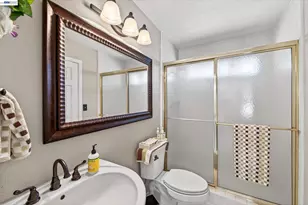 3341 Sorrel Downs Ct, Pleasanton, CA 94588 - Photo 36