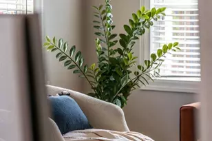 2201 Lasalle St, Martinez, CA 94553 - Photo 6