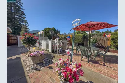 314 Semillon Cir, Clayton, CA 94517 - Photo 34