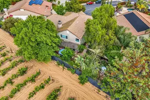 10 Kali Ct, Oakley, CA 94561 - Photo 66