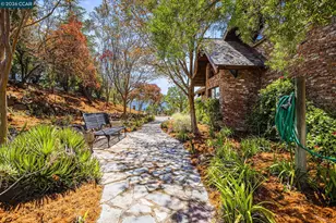 176 Mountain Canyon Ln, Alamo, CA 94507 - Photo 42