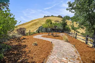 176 Mountain Canyon Ln, Alamo, CA 94507 - Photo 44