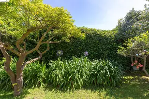 1055 47th St, Emeryville, CA 94608 - Photo 28