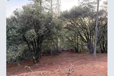 4700 Kelley Pl, Garden Valley, CA 95633 - Photo 8