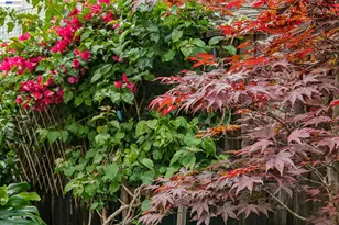 1129 Clarke Ln, Alameda, CA 94502 - Photo 32