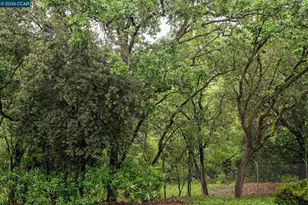 1840 Tice Creek Dr, Walnut Creek, CA 94595 - Photo 18