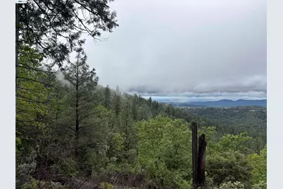 20800 Mount Provo Road, Twain Harte, CA 95383 - Photo 2