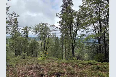 20800 Mount Provo Road, Twain Harte, CA 95383 - Photo 4