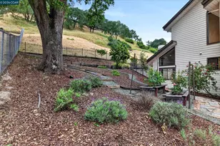 58 Saddle Rd, Walnut Creek, CA 94595 - Photo 44