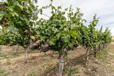 3001 Lusitana Dr, Livermore, CA 94550 - Photo 48