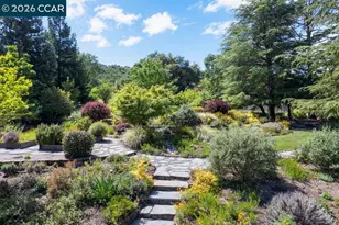 26 Rio Del Ct, Danville, CA 94526 - Photo 44