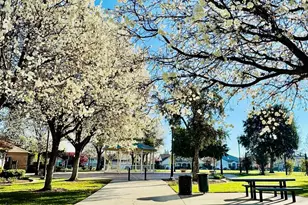 2565 Handel Way, Brentwood, CA 94513 - Photo 56