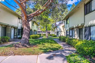 6151 Joaquin Murieta Ave, Newark, CA 94560 - Photo 2
