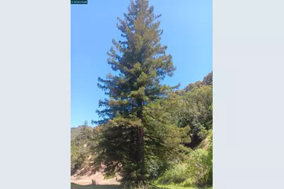 56025 Highway 101, Laytonville, CA 95454 - Photo 6