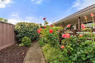 4473 Hillsborough Dr, Castro Valley, CA 94546 - Photo 42