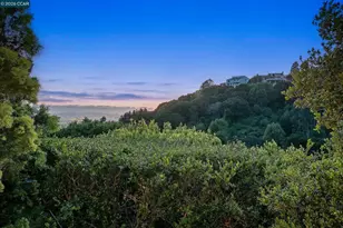 21 Live Oak Rd, Berkeley, CA 94705 - Photo 50