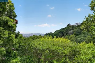 21 Live Oak Rd, Berkeley, CA 94705 - Photo 40