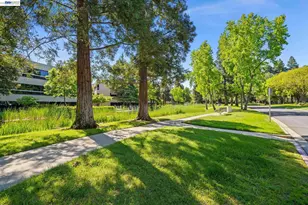 305 Rock Creek Way, Pleasant Hill, CA 94523 - Photo 42