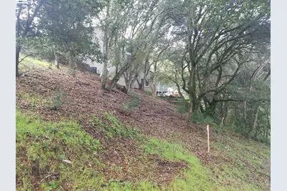12 Vista Del Orinda, Orinda, CA 94563 - Photo 4