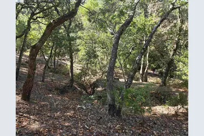 12 Vista Del Orinda, Orinda, CA 94563 - Photo 18