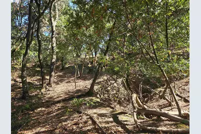 12 Vista Del Orinda, Orinda, CA 94563 - Photo 12