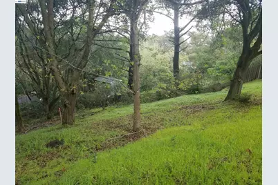 12 Vista Del Orinda, Orinda, CA 94563 - Photo 6