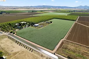 2445 Taylor Ln, Byron, CA 94514 - Photo 66