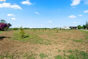 2445 Taylor Ln, Byron, CA 94514 - Photo 46