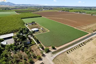 2445 Taylor Ln, Byron, CA 94514 - Photo 58