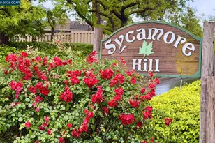 327 Sycamore Hill Ct, Danville, CA 94526 - Photo 36