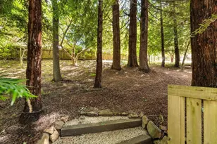 6 Dorothy Pl, Berkeley, CA 94705 - Photo 32