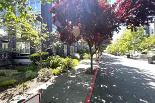 1253 Pine St, Oakland, CA 94607 - Photo 38