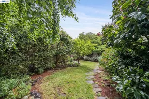 1800 San Lorenzo Ave, Berkeley, CA 94707 - Photo 36