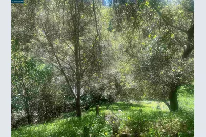 2 Charles Hill Cir, Orinda, CA 94563 - Photo 4