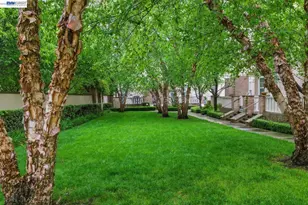 38 Silk Oak Terrace, Fremont, CA 94536 - Photo 38