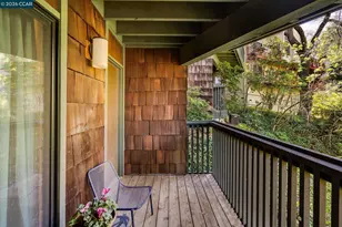 919 Dewing Ave, Lafayette, CA 94549 - Photo 28