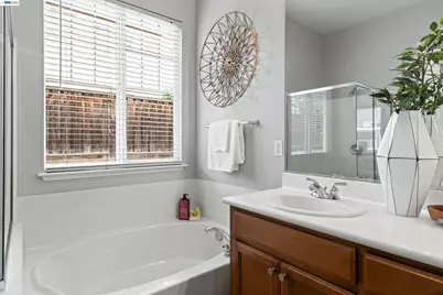 327 Goodall Dr, Mountain House, CA 95391 - Photo 28