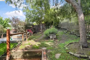 3756 Balfour Ave, Oakland, CA 94610 - Photo 66