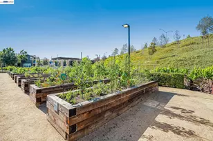 244 Fennel Wy, Livermore, CA 94551 - Photo 44