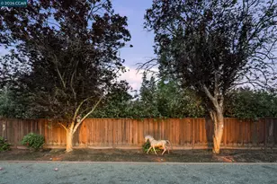 1433 Walnut Ave, Walnut Creek, CA 94598 - Photo 34