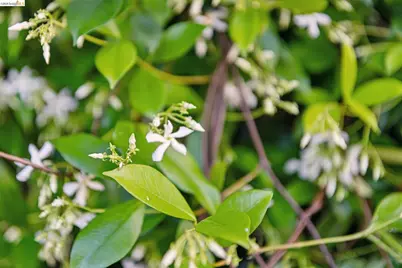 575 58th St, Oakland, CA 94609 - Photo 40