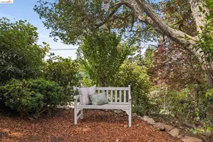 3560 Dwight Way, Berkeley, CA 94704 - Photo 46