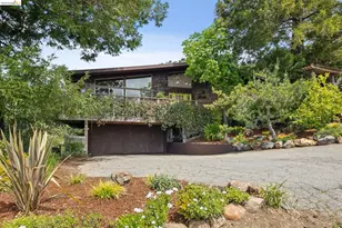 3560 Dwight Way, Berkeley, CA 94704 - Photo 54
