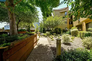 1201 Alta Vista Dr, Walnut Creek, CA 94596 - Photo 60