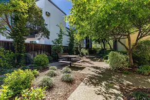 1201 Alta Vista Dr, Walnut Creek, CA 94596 - Photo 58