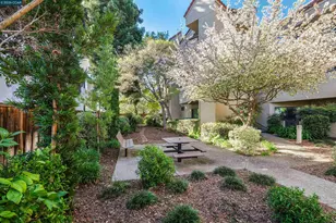 1201 Alta Vista Dr, Walnut Creek, CA 94596 - Photo 62
