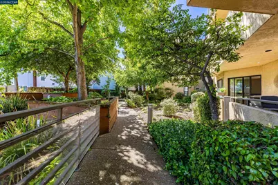 1201 Alta Vista Dr #206, Walnut Creek, CA 94596 - Photo 56