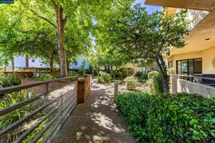 1201 Alta Vista Dr, Walnut Creek, CA 94596 - Photo 56