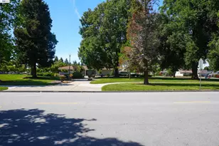 3370 Alder Ave, Fremont, CA 94536 - Photo 14