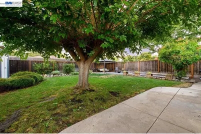 168 Albatross Avenue, Livermore, CA 94550 - Photo 38